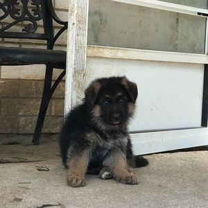 Meet your Posher, Ana